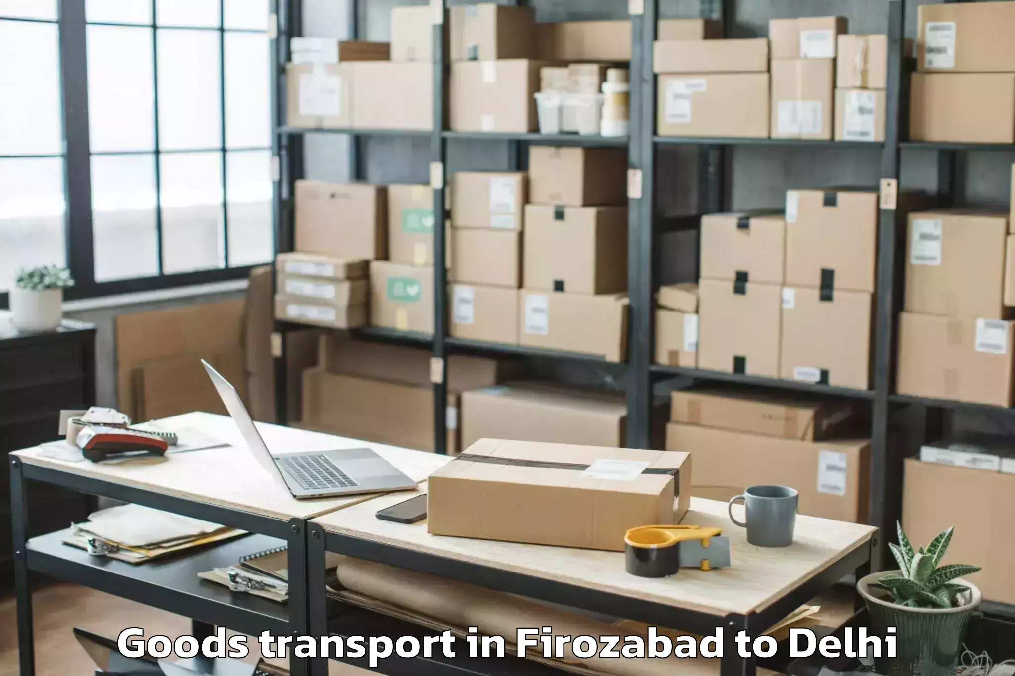 Book Your Firozabad to Patel Nagar Goods Transport Today